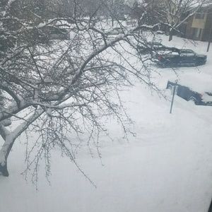 Meet your Posher, Chakela